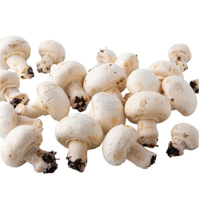 Шампиньоны свежие 500 г - купить в Огохе